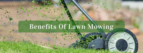 Benefits Of Lawn Mowing
