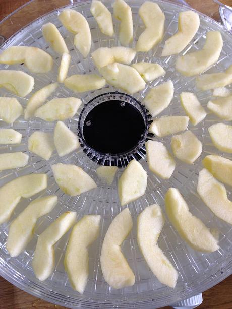 dehydrating apples