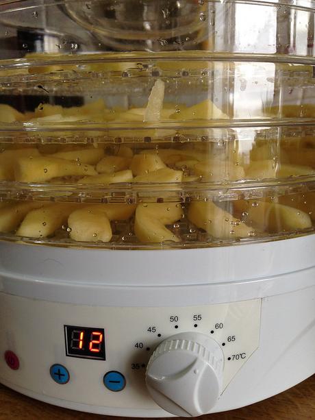 dehydrating apples