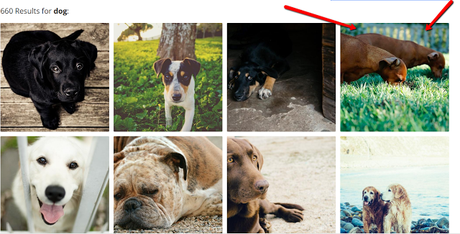 Find Images for Your Website