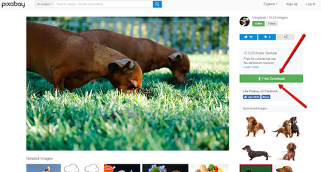 Find Images for Your Website