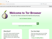 Browser Safe Use?