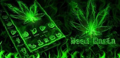 Weed Rasta GO Launcher Theme