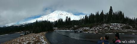 Postcard From Seattle - Exploring Mount Rainier