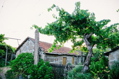 the village of Cabroelo, Portugal