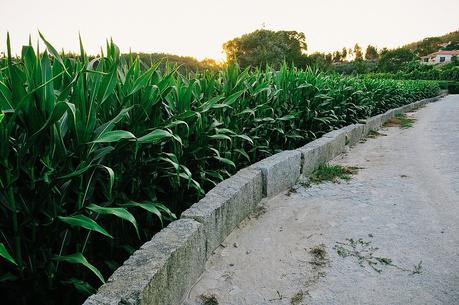 the village of Cabroelo, Portugal