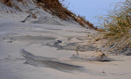 Hatteras Island-wind swept beaches of coastal carolina