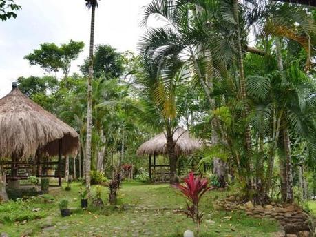 Make Your Trip Euphoric Savoring Luscious Seafood At Baybay!