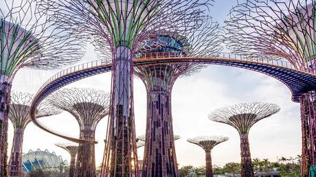 Image result for images of Supertrees in Singapore