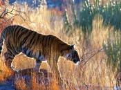 Weekend Getaways Raipur