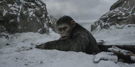 Life lessons from War for the Planet of the Apes