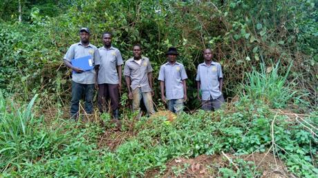 ACBF Chimp T-RAP team Bugoma Forest