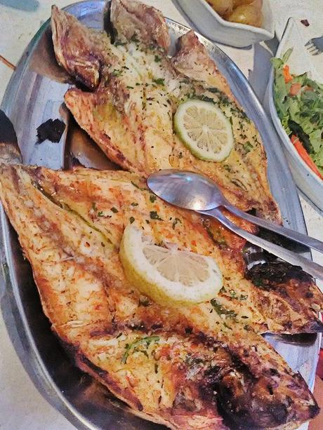 dourada (sea bream)