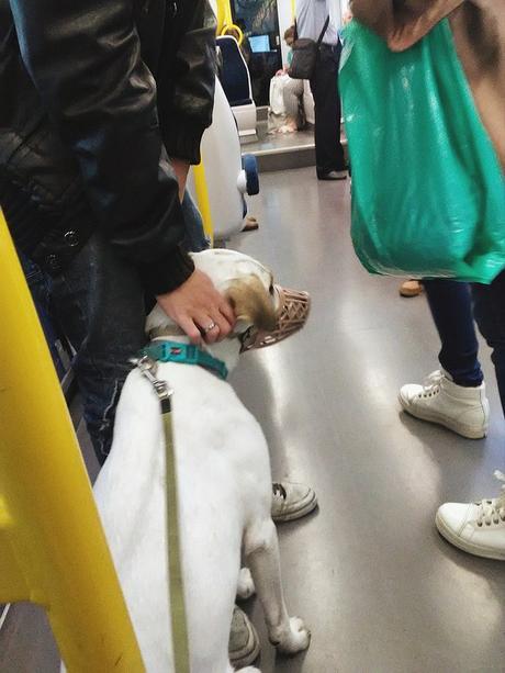 making friends on the metro