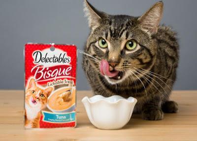 Delectables Lickable Treats: Healthy and Delicious Treats for Your Cat ~ Plus Enter to Win Free Treats!