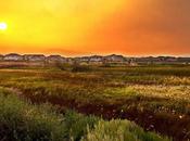 Bandcamp Bonanza Smoked