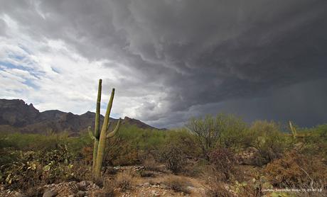 American Southwest threatened by heavy-rain monsoons
