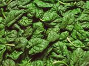 Could Spinach Leaves Hold Solar Energy?