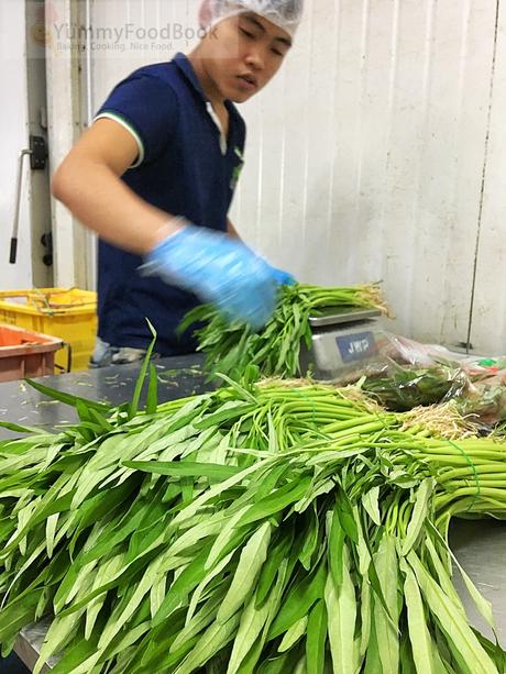 spinach packing