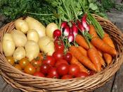 Home-grown "Crudités"