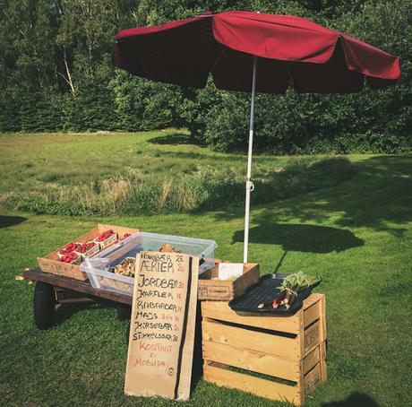 Nature [Forest] Café