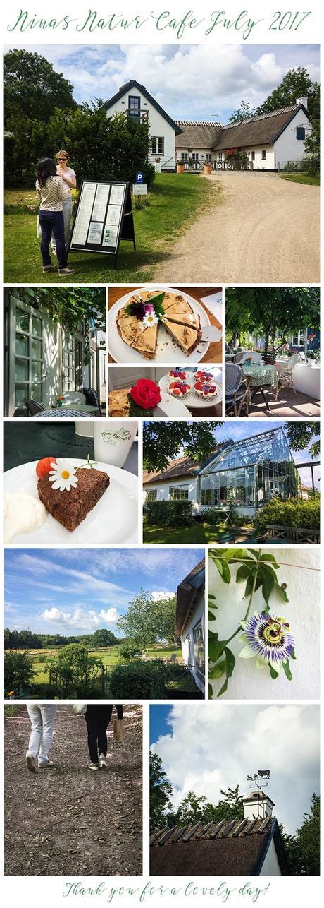 Nature [Forest] Café