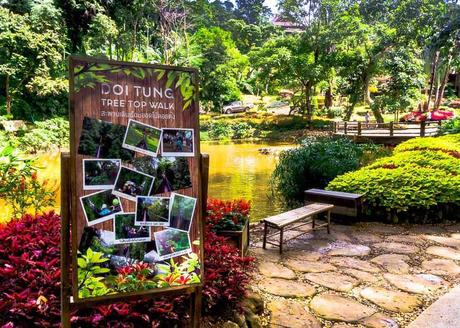 Doi Tung: Mae Fah Luang Garden & Tree Top Walk