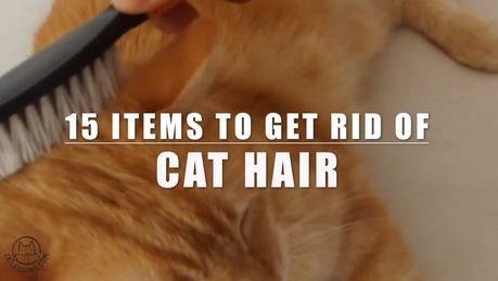 [Video] #6 –How to Get Rid Of Your Cat Hair – 15 Ways to Remove Cat Hair