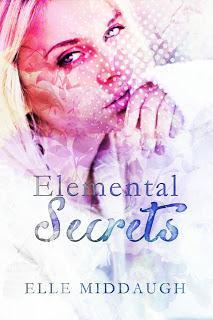 Elemental Lies (Essential Elements #2) by Elle Middaugh  @YABoundToursPR