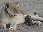 Friday Fast Five Things Want Check Right