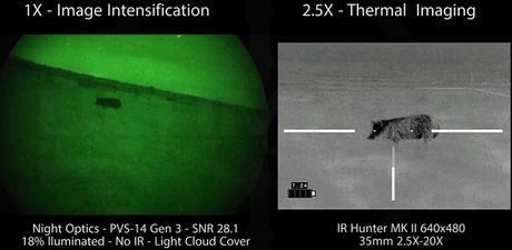 Thermal Imaging vs Night Vision