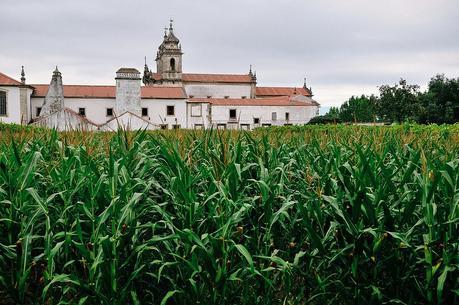 Mosteiro de São Martinho de Tibães With Ciência Viva No Verão