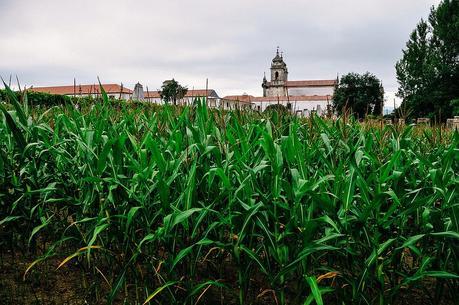 Mosteiro de São Martinho de Tibães With Ciência Viva No Verão