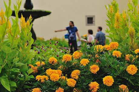 Mosteiro de São Martinho de Tibães With Ciência Viva No Verão