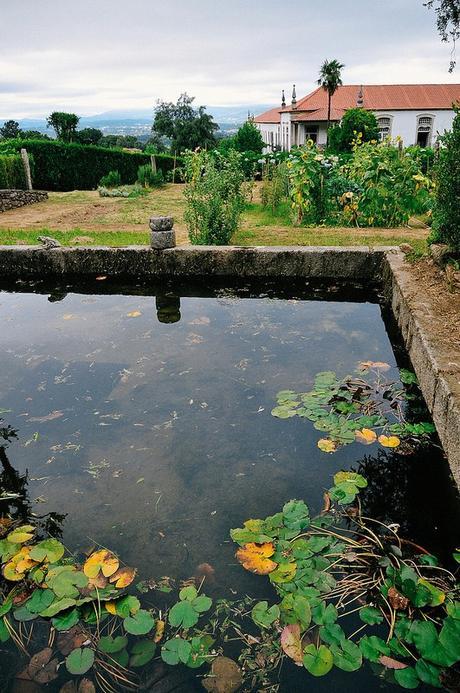 Mosteiro de São Martinho de Tibães With Ciência Viva No Verão