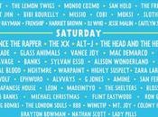 Ultimate Guide Lollapalooza