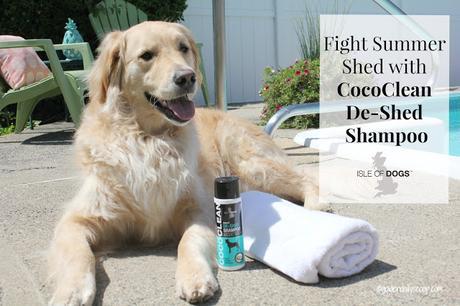 grooming products for dogs to help shedding