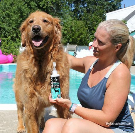 brush spray to reduce shedding in dogs