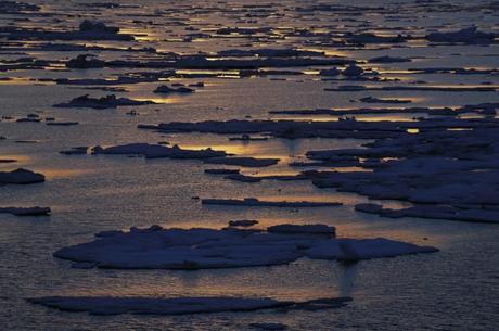 We only have a 5 percent chance of avoiding ‘dangerous’ global warming