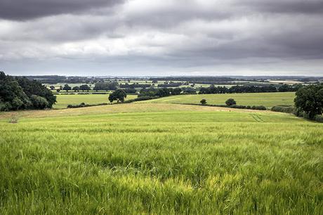 Buckinghamshire Countryside