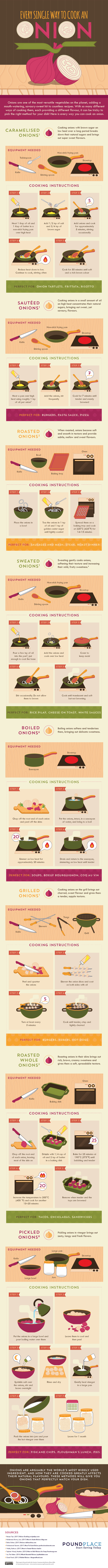 How many ways can you cook an Onion?!