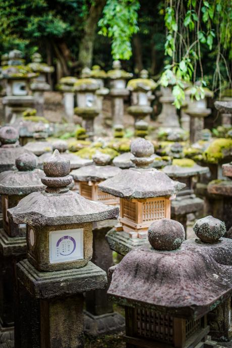 Kasuga-dōrō (Japanese stone lanterns) along Mizuya Sharine, Nara