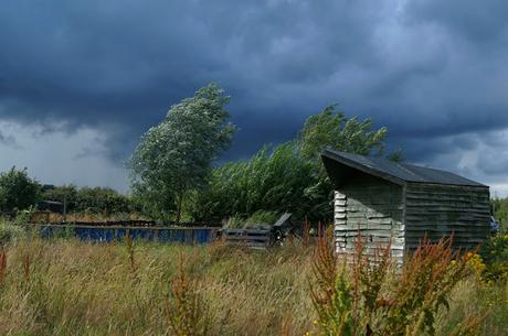 thundery rain coming - www.growourown.blogspot.com ~ an ecotherapy blog 