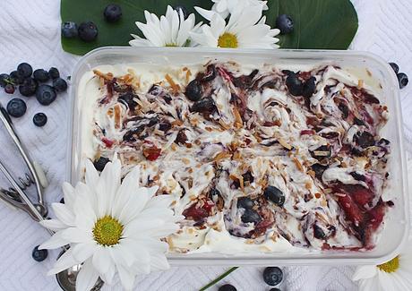 No Churn Blueberry & Coconut Ice Cream