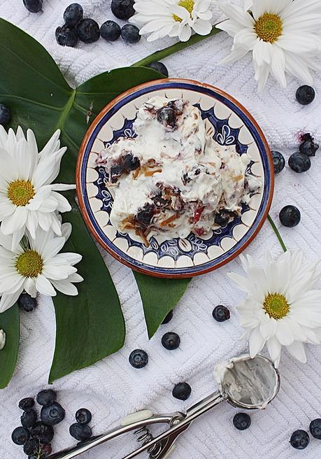 No Churn Blueberry & Coconut Ice Cream