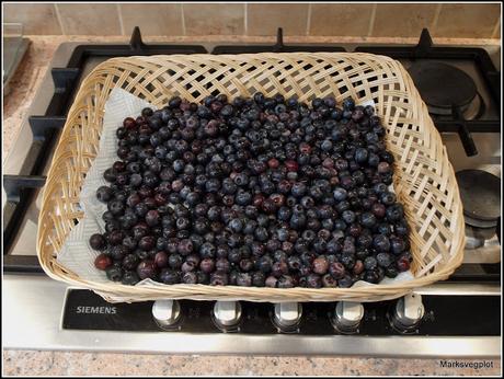 Picking Blueberries