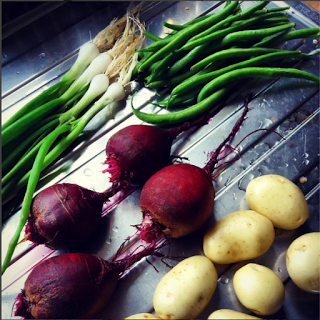 Late July harvest - www.growourown.blogspot.com ~ an ecotherapy blog 