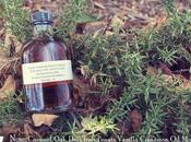 Early Times Bottled Bond Review