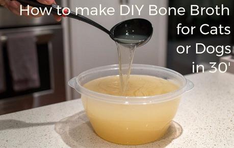How to make DIY Bone Broth for Cats or Dogs at home in 30 minutes