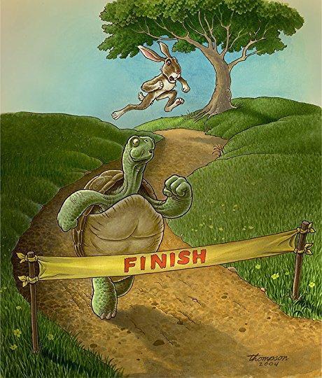 Hare And Tortoise Revisited – A Short Poetry #HareAndTortoise